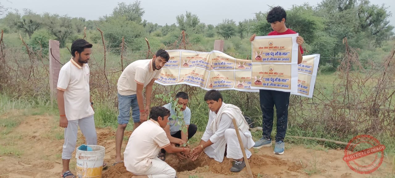 “एक पेड़ माँ के नाम” अभियान के तहत वृक्षारोपण कार्यक्रम संपन्न